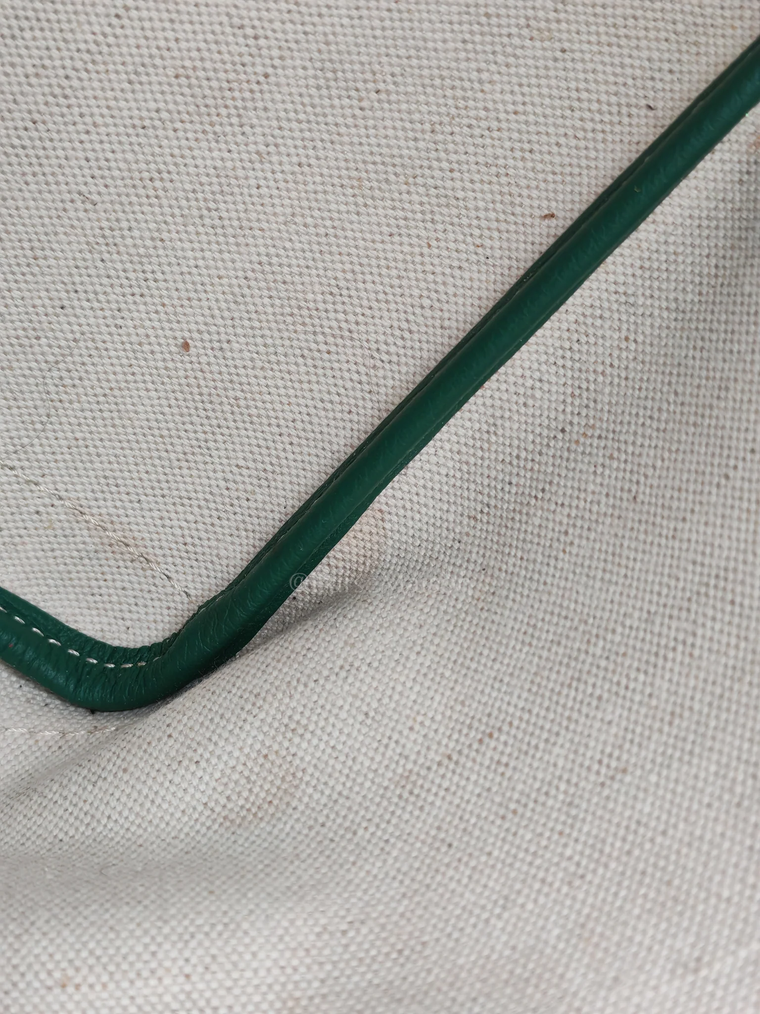 Goyard Artois PM in Green Goyardine Canvas Tote Bag - Image 28
