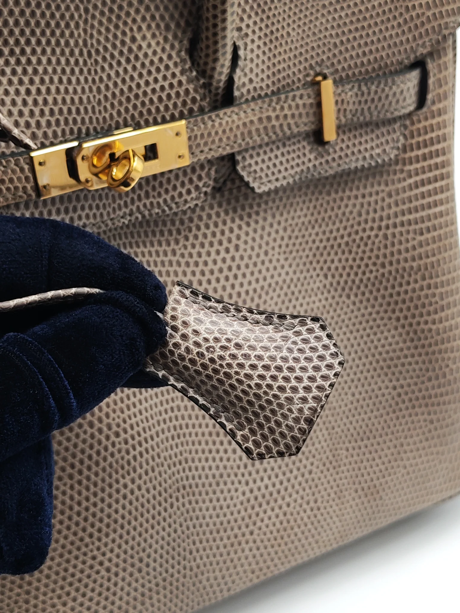 Hermes Birkin 25 Lizard Gris Tourterelle Gold Hardware Stamp P (2012) - Image 23