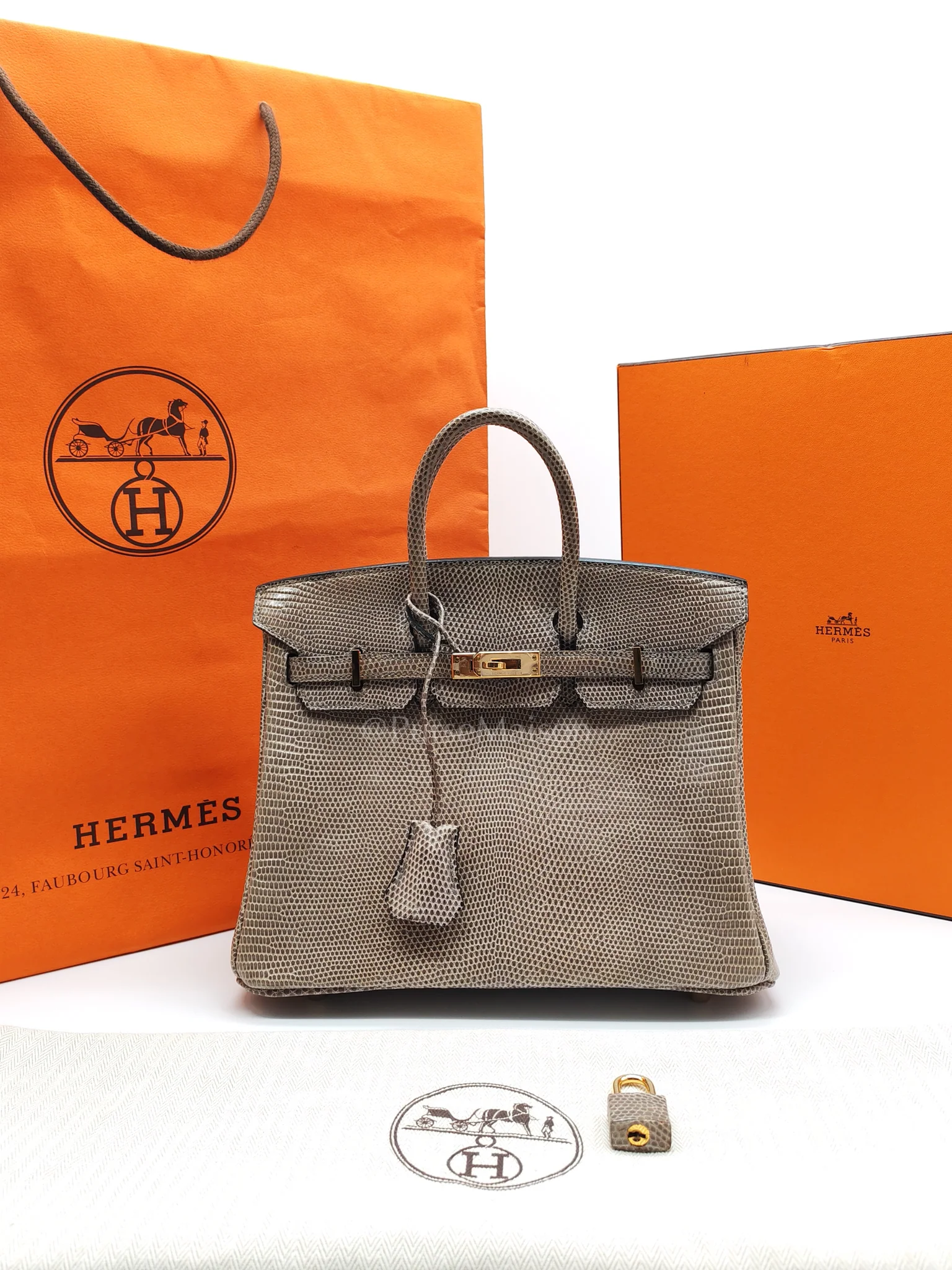 Hermes Birkin 25 Lizard Gris Tourterelle Gold Hardware Stamp P (2012) - Image 39