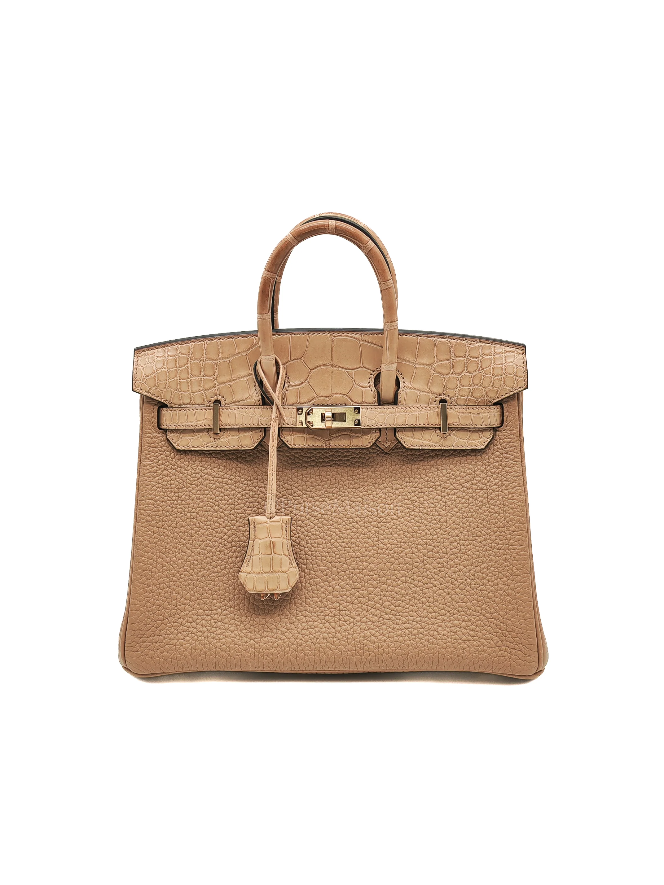 Hermes Birkin 25 Retourne Touch in Chai Togo and Alligator Leather in Permabrass Hardware Stamp U (2022)