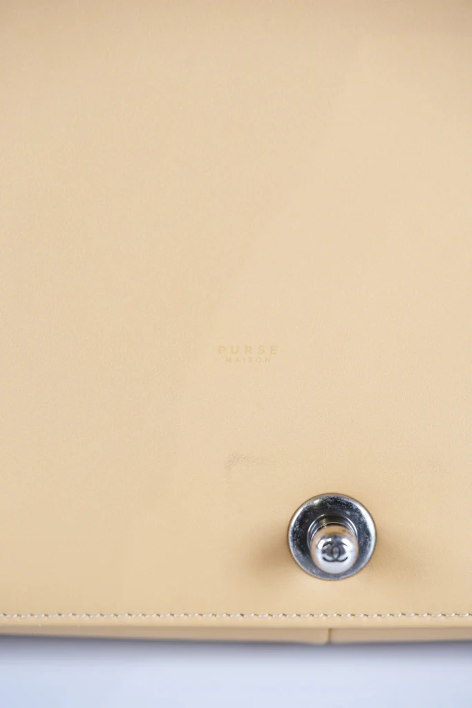 Chanel Boy Chevron Beige in Calfskin Leather and Ruthenium Hardware Series 22 - Image 30
