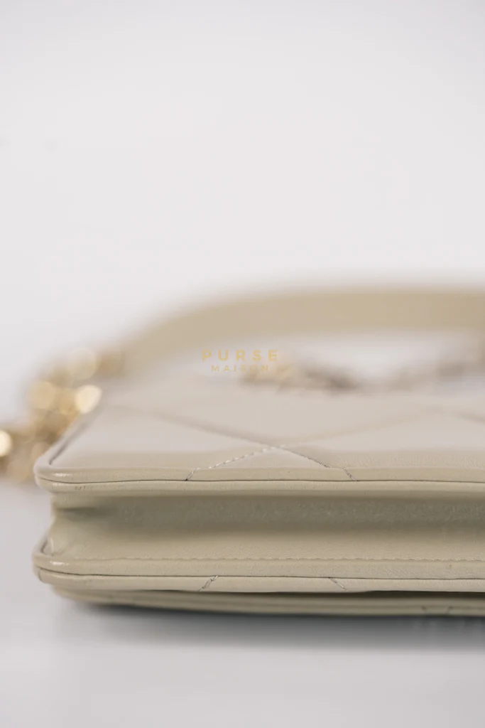 Chanel 19 Wallet on Chain Light Gray in Mixed Hardware (Microchip) - Image 15