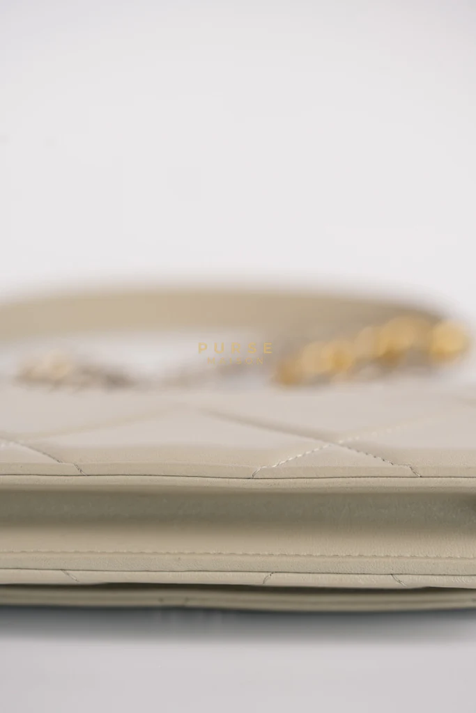 Chanel 19 Wallet on Chain Light Gray in Mixed Hardware (Microchip) - Image 16