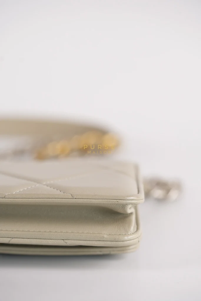 Chanel 19 Wallet on Chain Light Gray in Mixed Hardware (Microchip) - Image 17