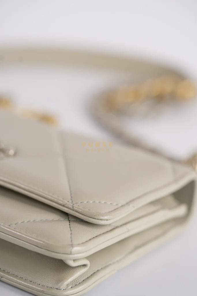 Chanel 19 Wallet on Chain Light Gray in Mixed Hardware (Microchip) - Image 18