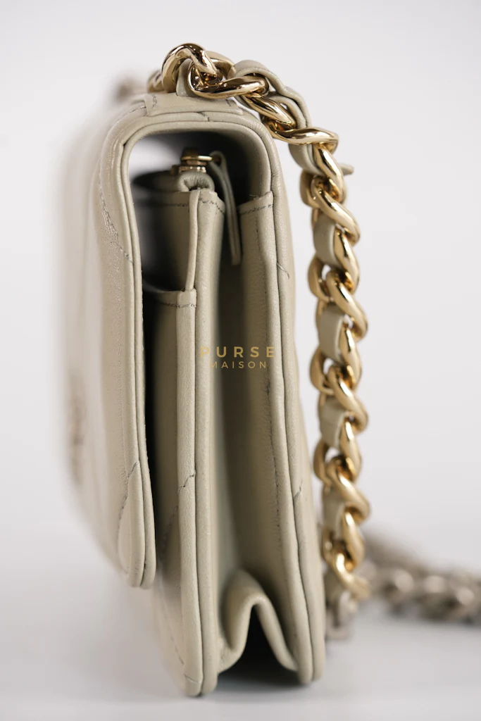 Chanel 19 Wallet on Chain Light Gray in Mixed Hardware (Microchip) - Image 21