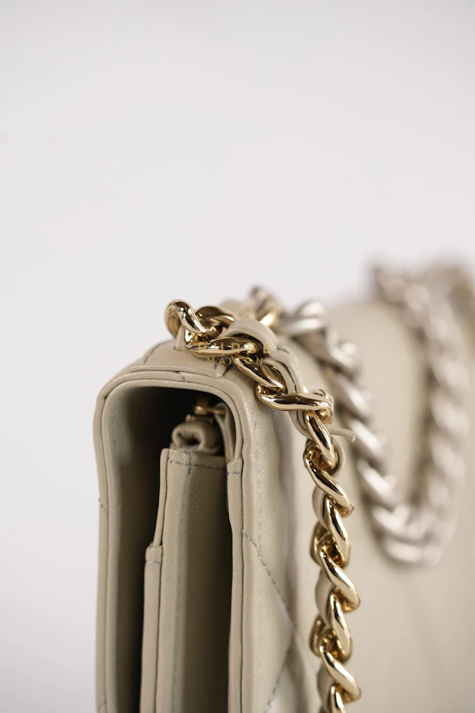 Chanel 19 Wallet on Chain Light Gray in Mixed Hardware (Microchip) - Image 23