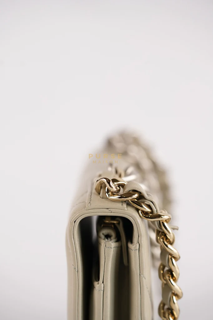 Chanel 19 Wallet on Chain Light Gray in Mixed Hardware (Microchip) - Image 25