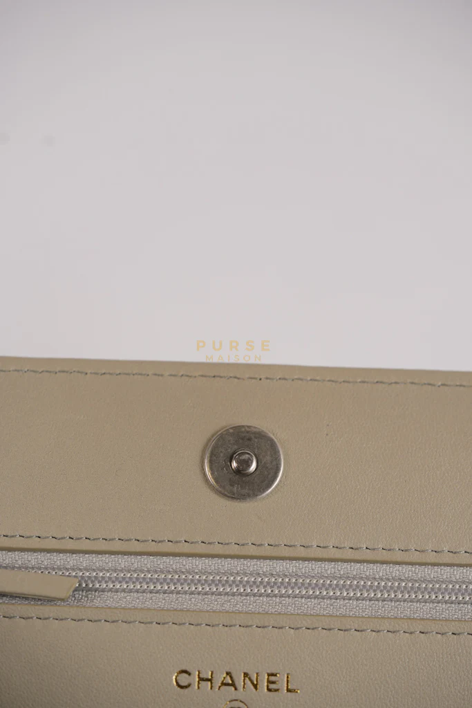 Chanel 19 Wallet on Chain Light Gray in Mixed Hardware (Microchip) - Image 35
