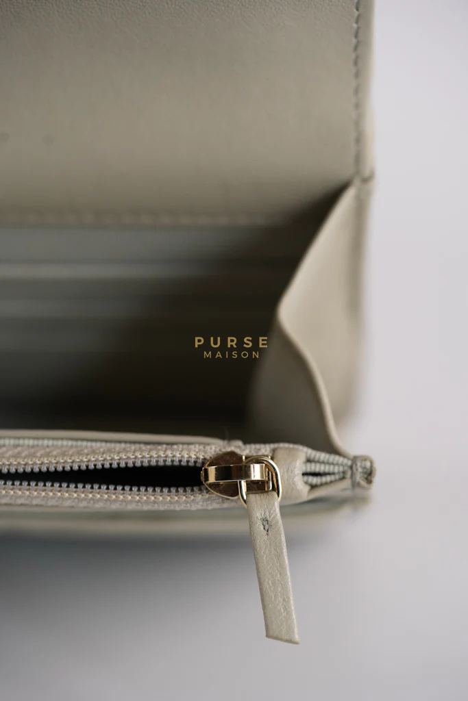 Chanel 19 Wallet on Chain Light Gray in Mixed Hardware (Microchip) - Image 37