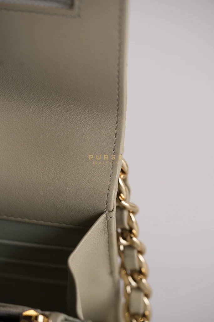 Chanel 19 Wallet on Chain Light Gray in Mixed Hardware (Microchip) - Image 40