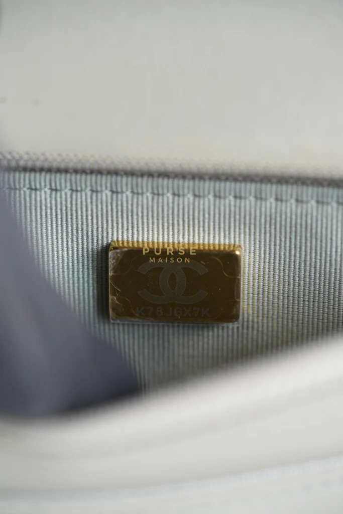 Chanel 19 Wallet on Chain Light Gray in Mixed Hardware (Microchip) - Image 47
