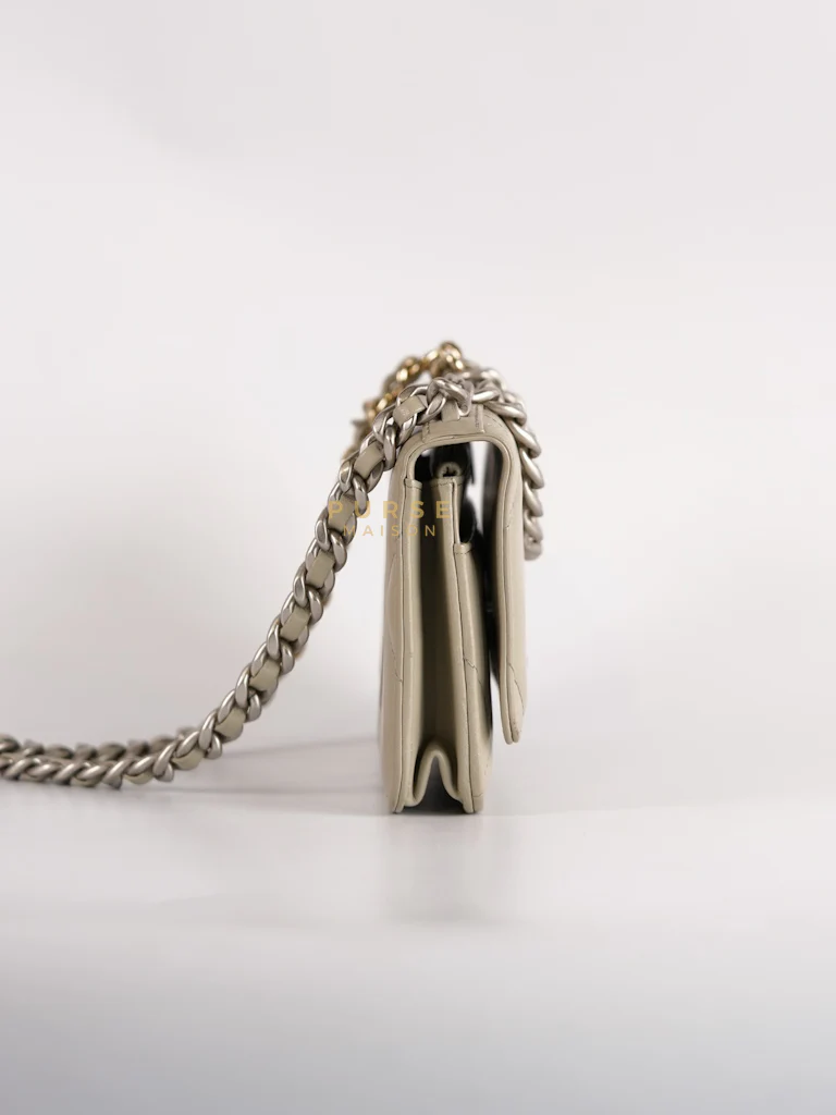 Chanel 19 Wallet on Chain Light Gray in Mixed Hardware (Microchip) - Image 5
