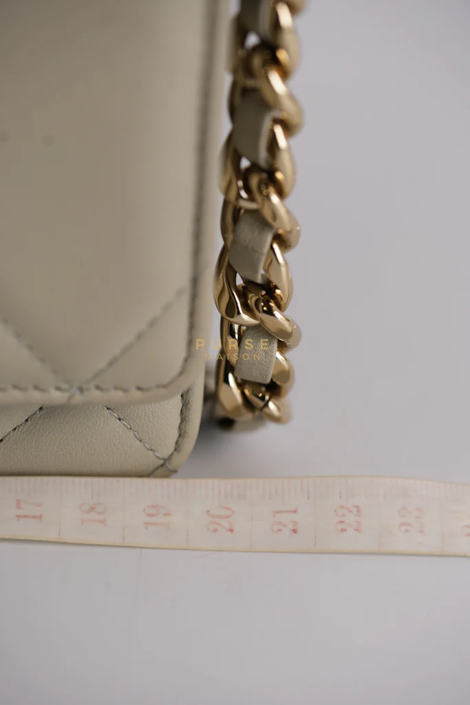 Chanel 19 Wallet on Chain Light Gray in Mixed Hardware (Microchip) - Image 64