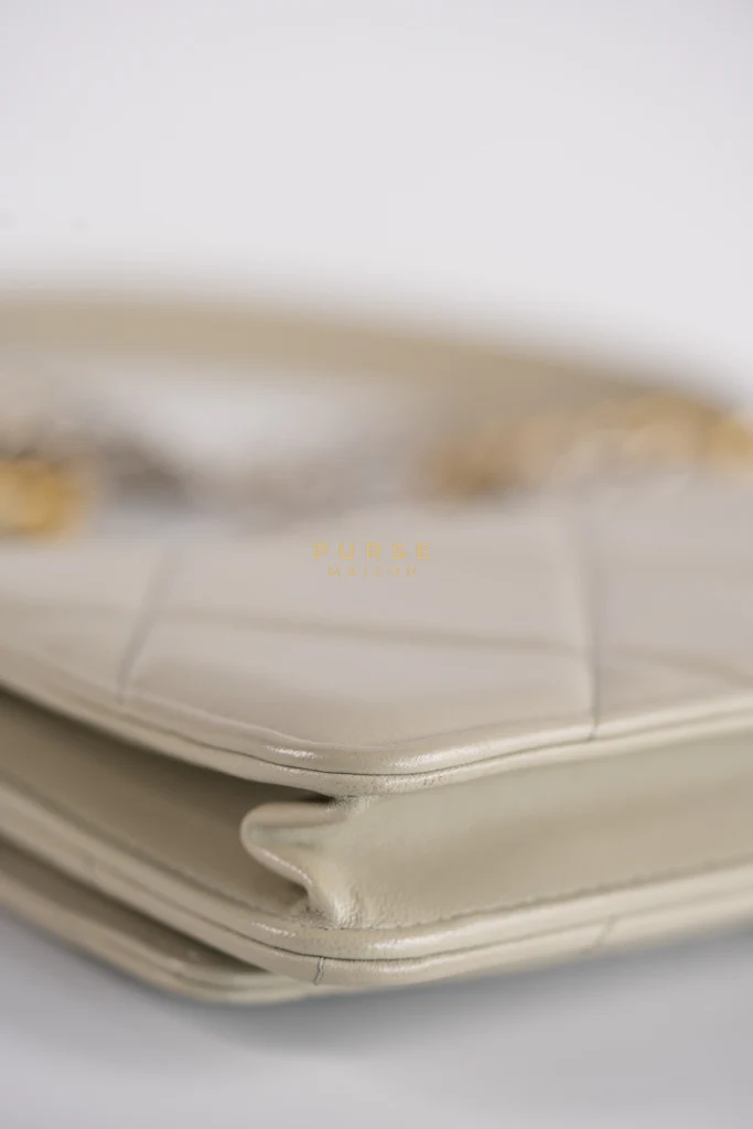 Chanel 19 Wallet on Chain Light Gray in Mixed Hardware (Microchip) - Image 9