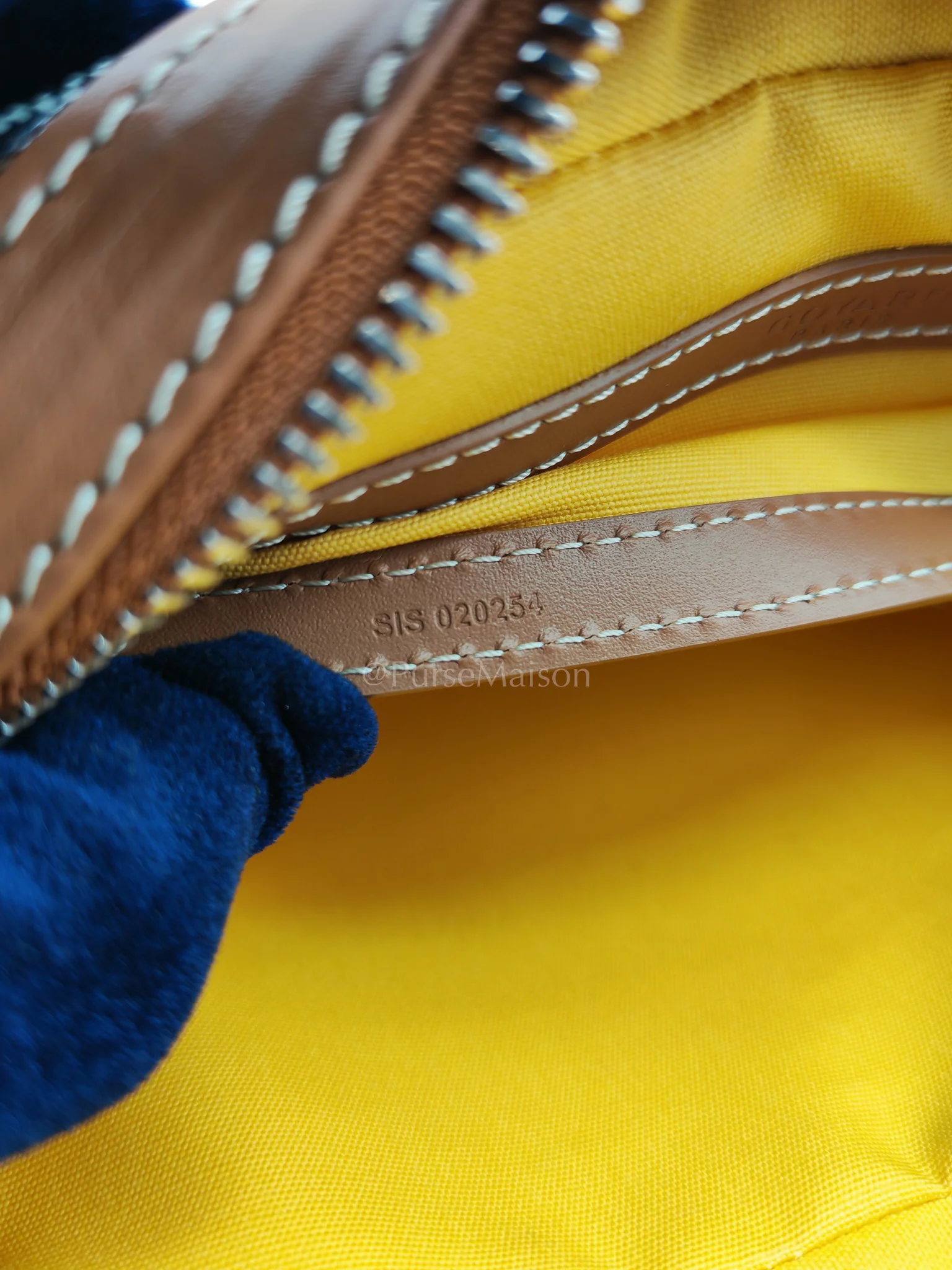 Goyard Cap Vert in Tan Goyardine Canvas Crossbody Bag - Image 20