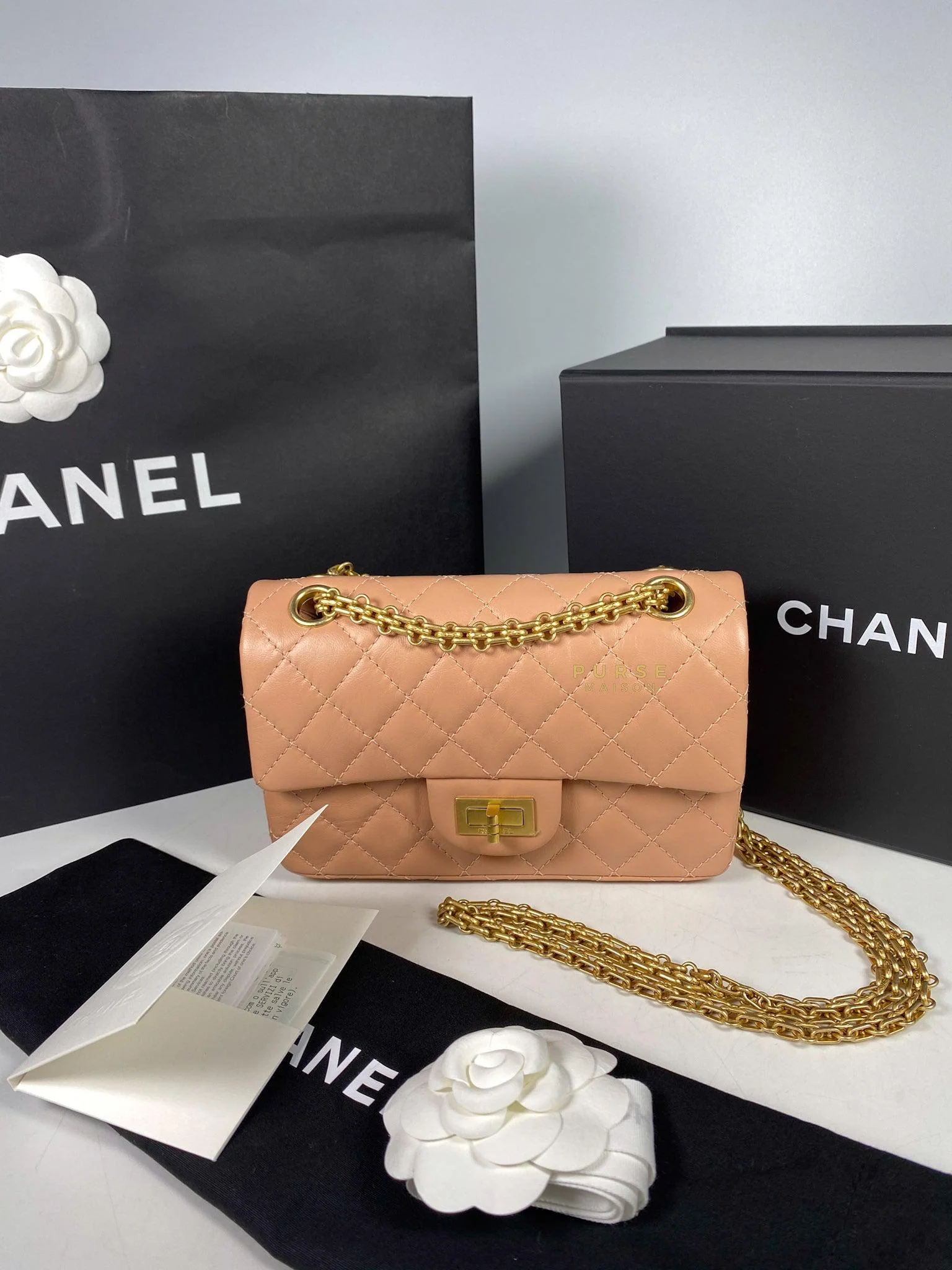 Chanel Chanel 2.55 Mini Reissue Salmon distressed calfskin & Aged Gold Hardware (Microchip) - Image 19