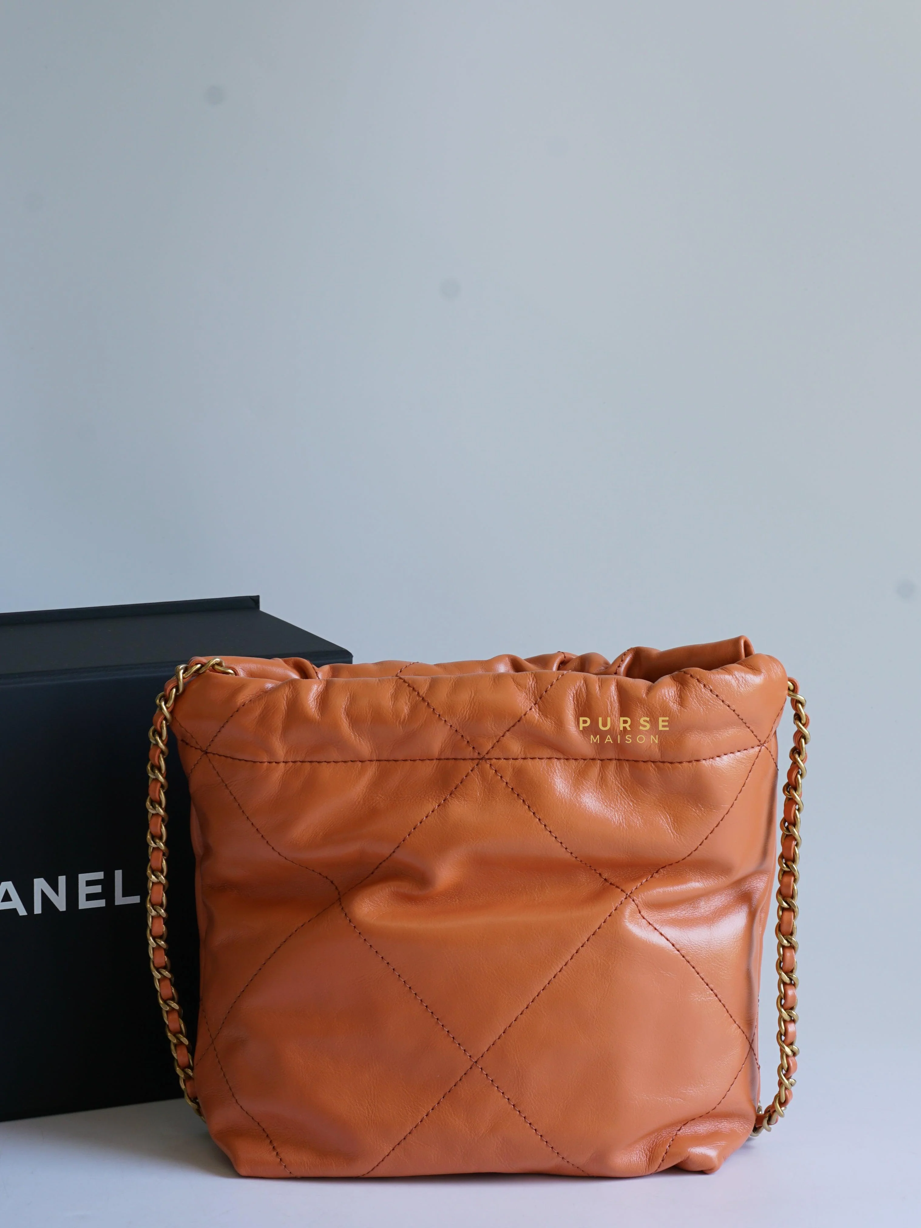 Chanel Chanel Mini 22 Shiny Calfskin 23A Gold/Tan (Microchip) - Image 21