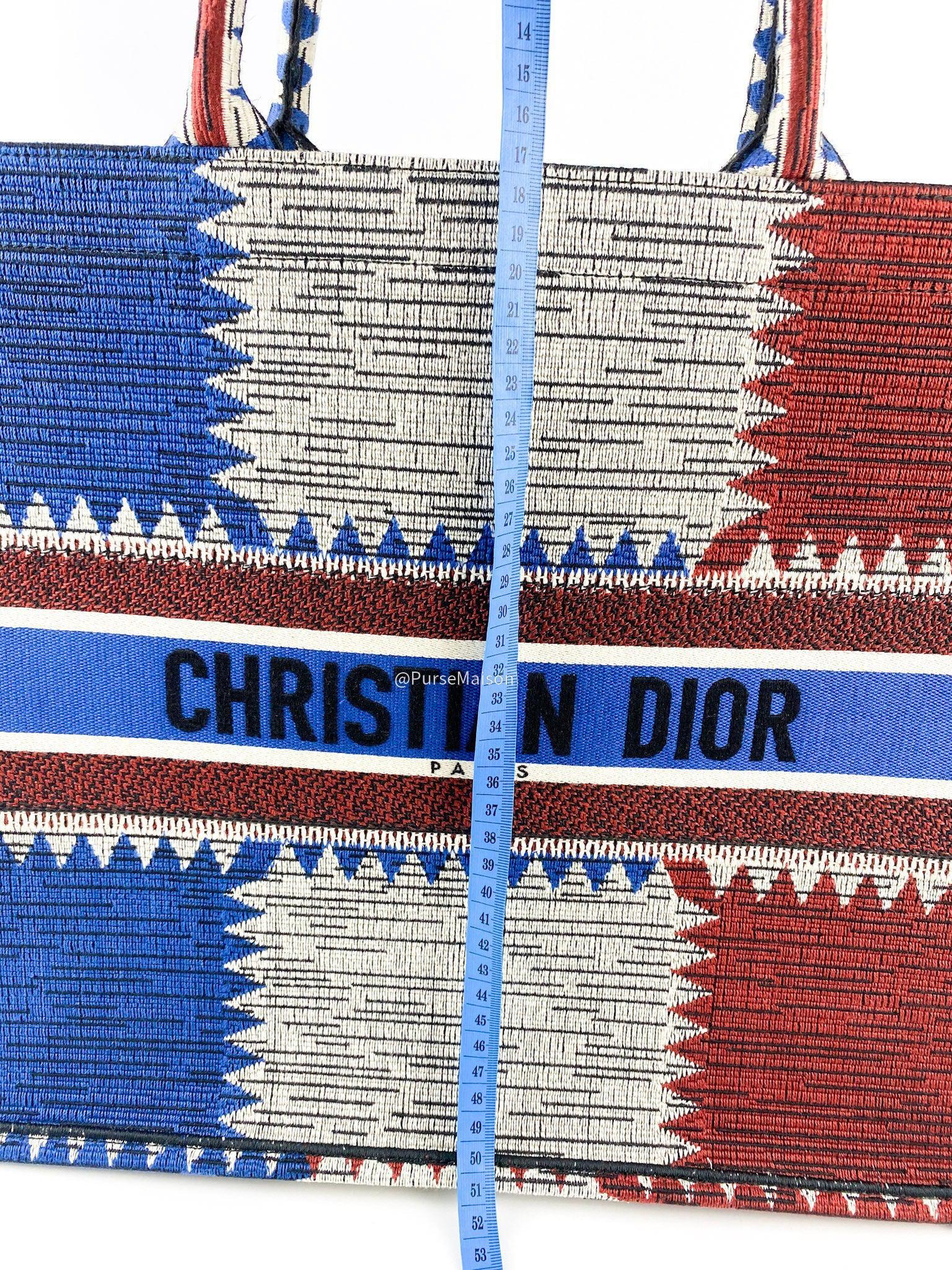 Christian Dior Christian Dior Large Book Tote French Flag 2019 fall/winter collection - Image 13