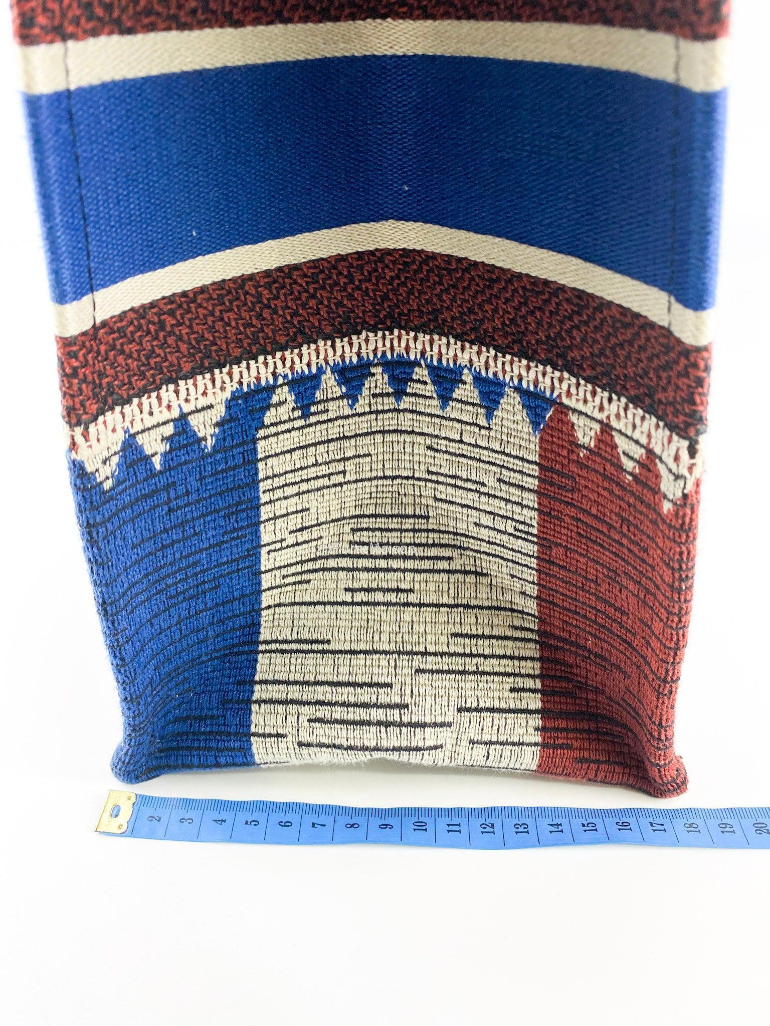 Christian Dior Christian Dior Large Book Tote French Flag 2019 fall/winter collection - Image 16