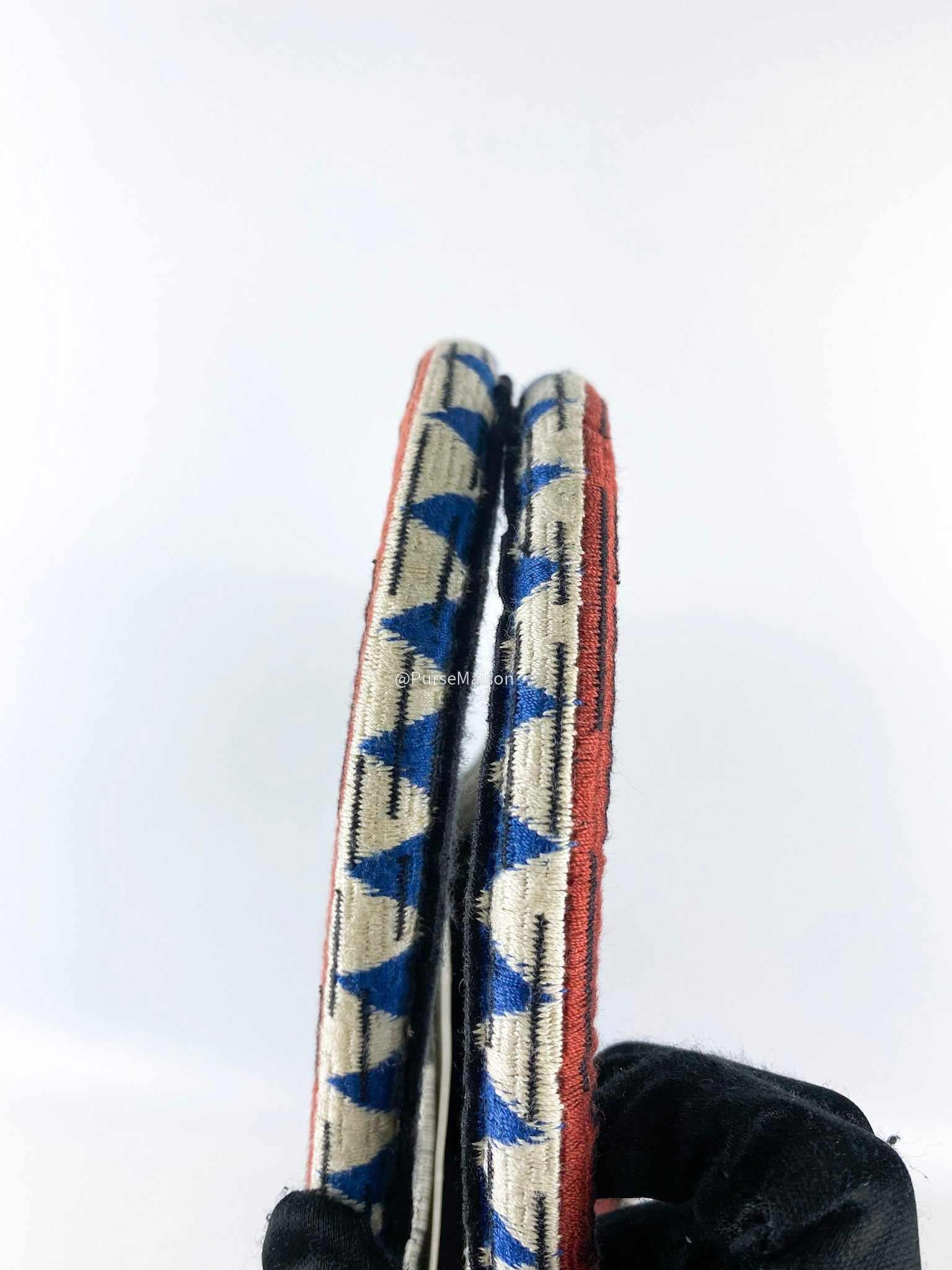 Christian Dior Christian Dior Large Book Tote French Flag 2019 fall/winter collection - Image 5
