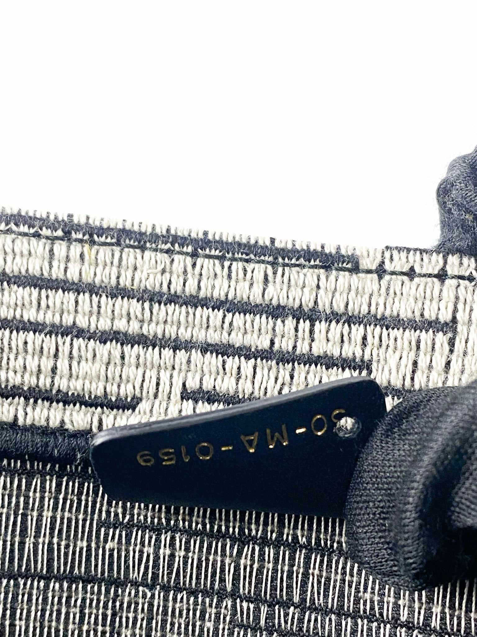 Christian Dior Christian Dior Large Book Tote French Flag 2019 fall/winter collection - Image 6