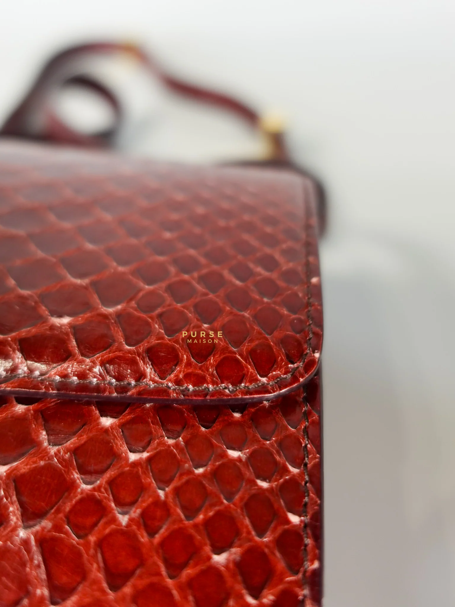 Celine Classic Box Maroon Python Mini Shoulder Bag - Image 10