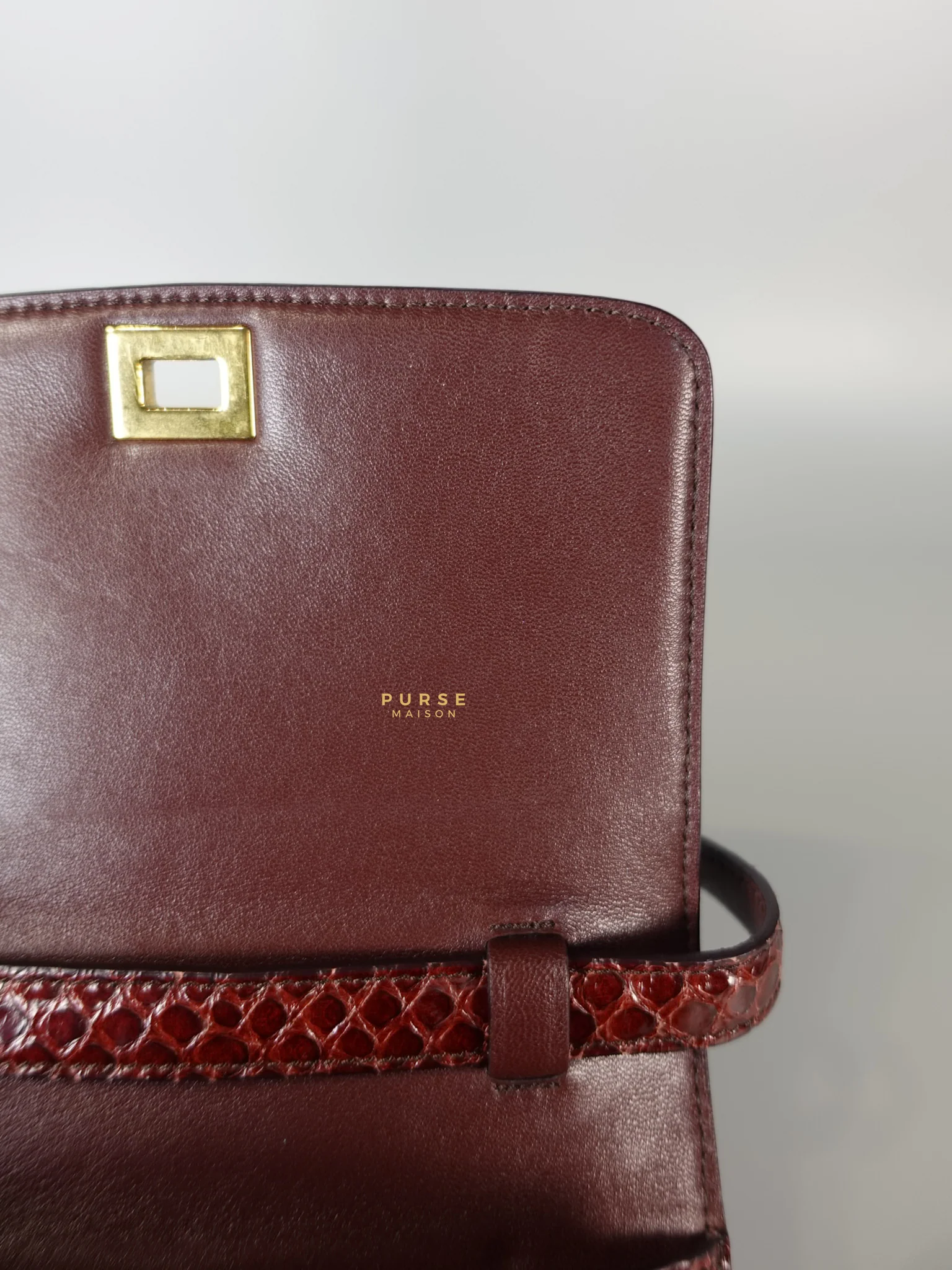 Celine Classic Box Maroon Python Mini Shoulder Bag - Image 19