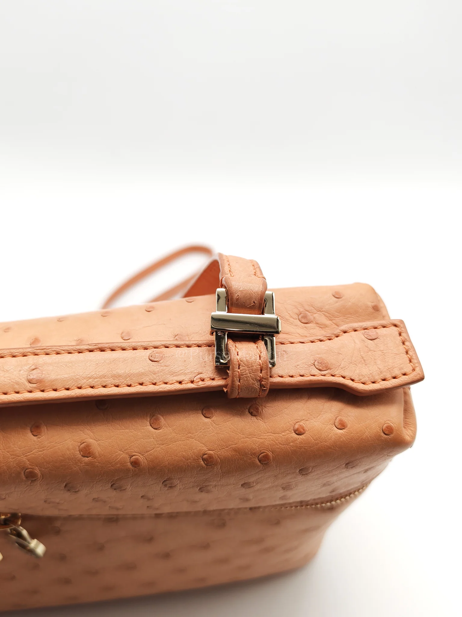 Loro Piana Extra Pocket L27 Pouch in Coral Pink Ostrich Leather & Gold Hardware - Image 21