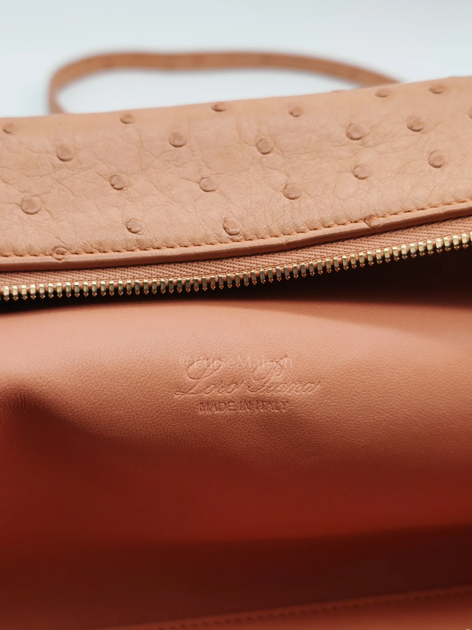 Loro Piana Extra Pocket L27 Pouch in Coral Pink Ostrich Leather & Gold Hardware - Image 27