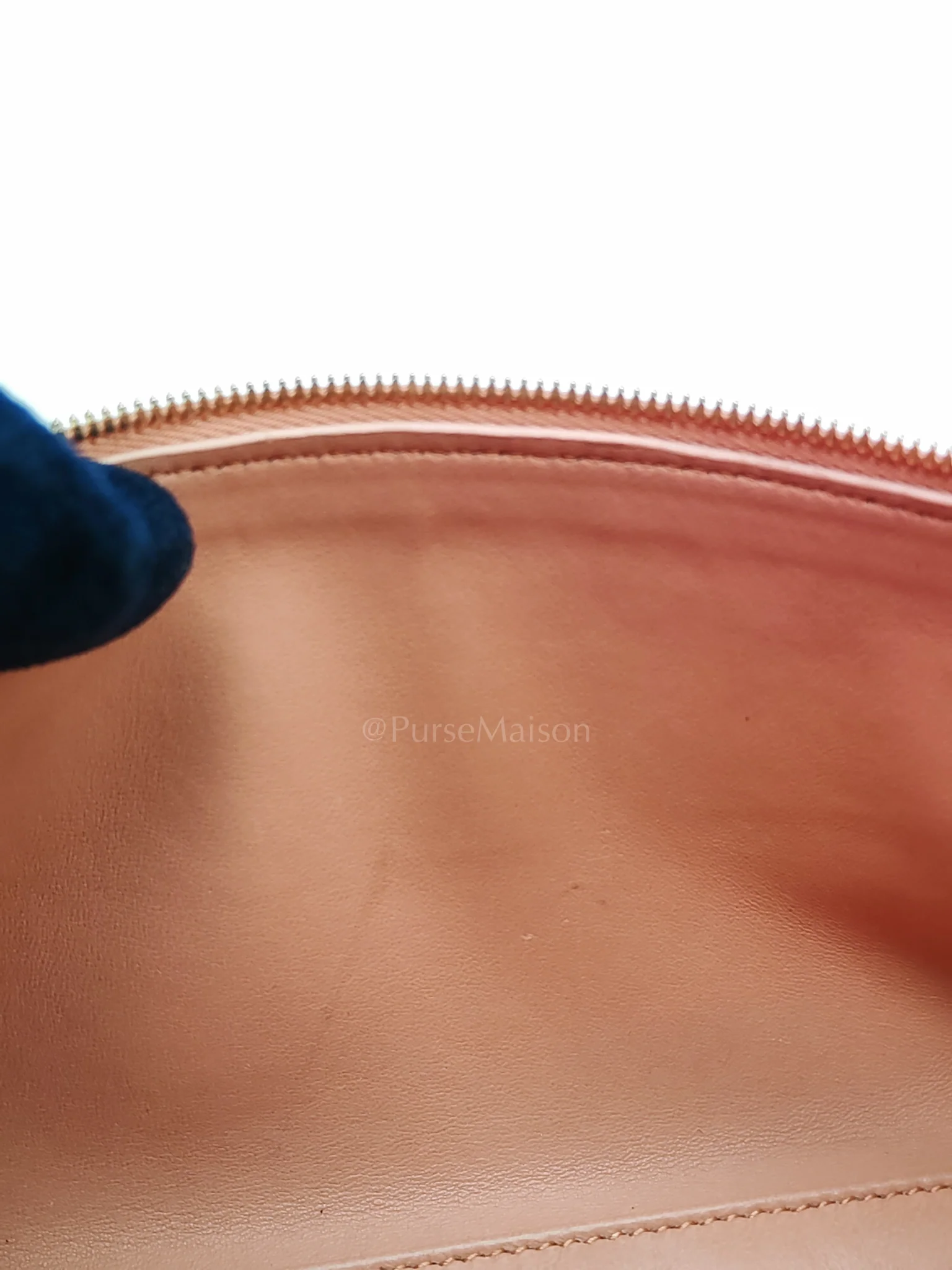 Loro Piana Extra Pocket L27 Pouch in Coral Pink Ostrich Leather & Gold Hardware - Image 30