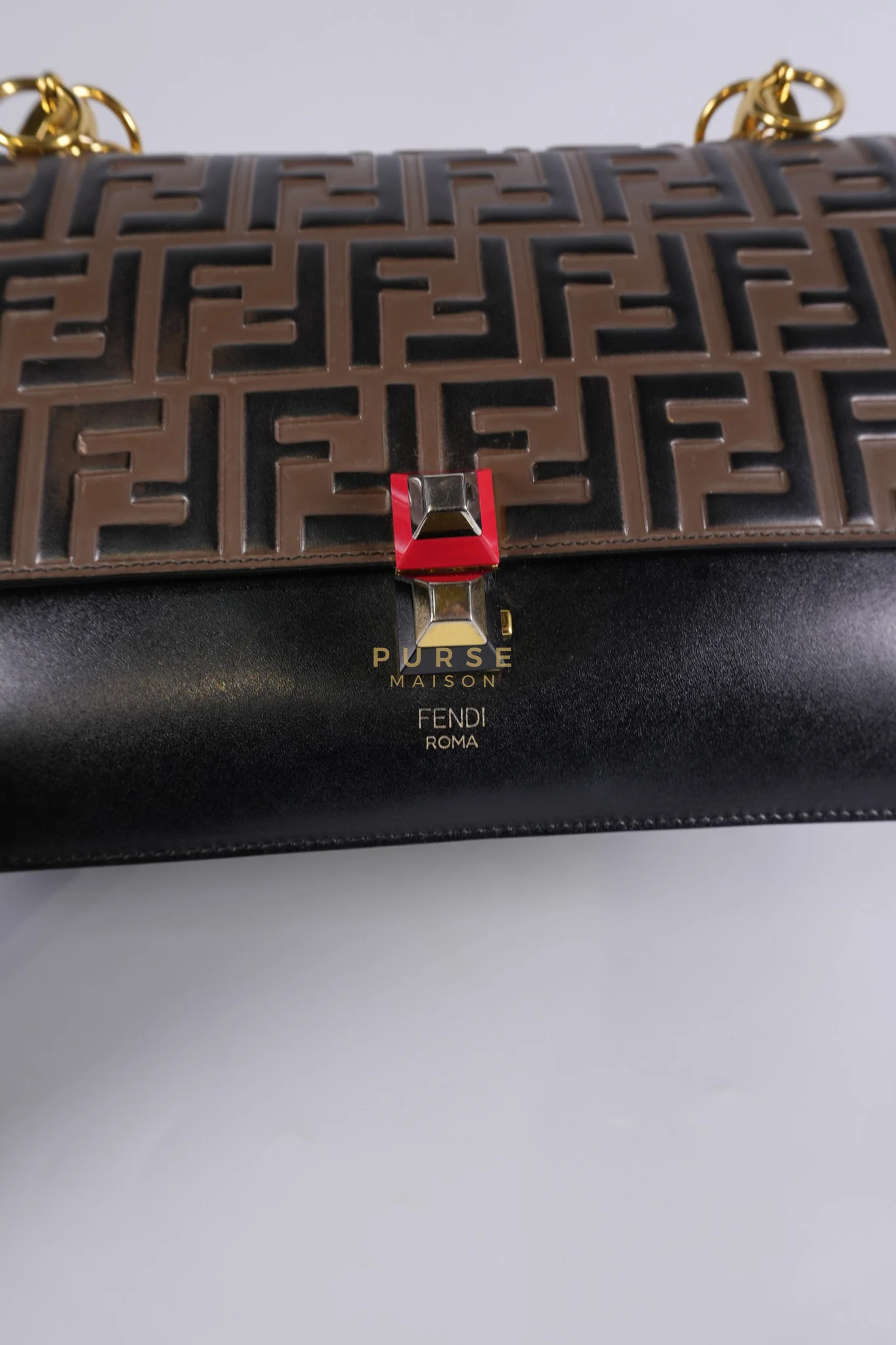Fendi Vitello Liberty Bicolor and Gold Hardware - Image 20