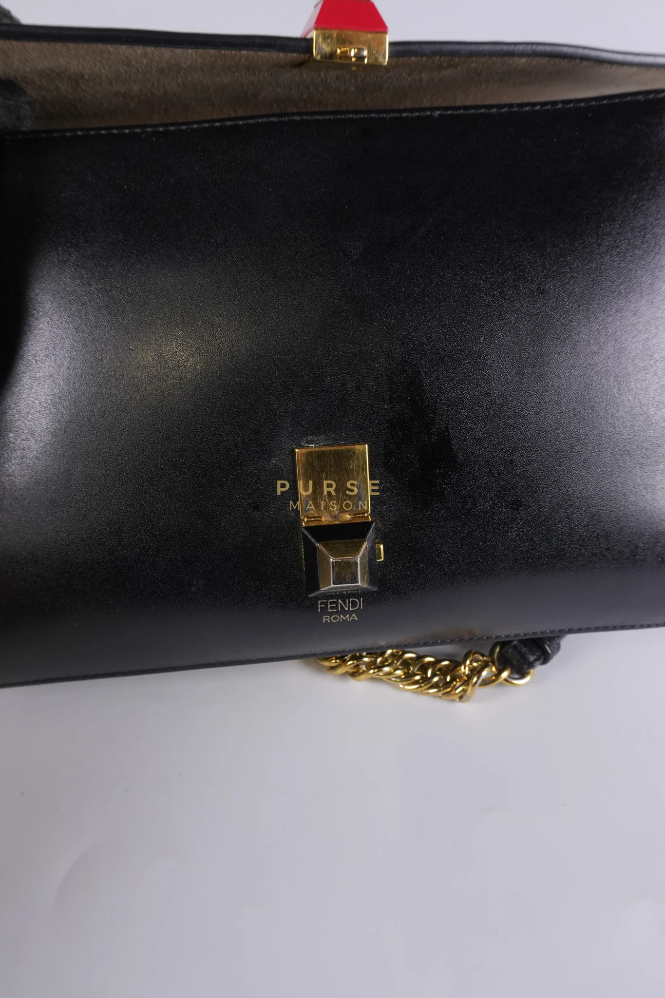 Fendi Vitello Liberty Bicolor and Gold Hardware - Image 21