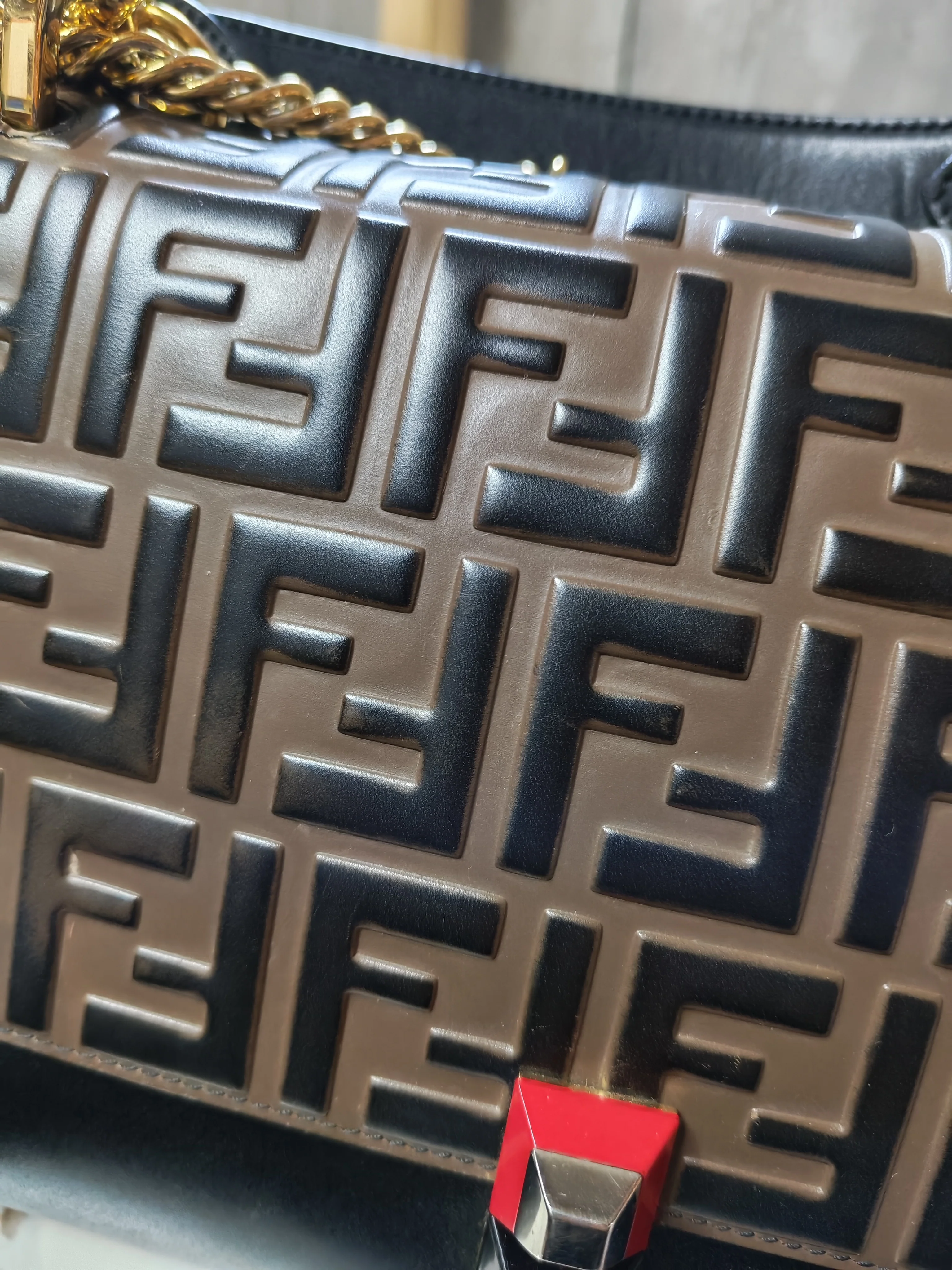 Fendi Vitello Liberty Bicolor and Gold Hardware - Image 38