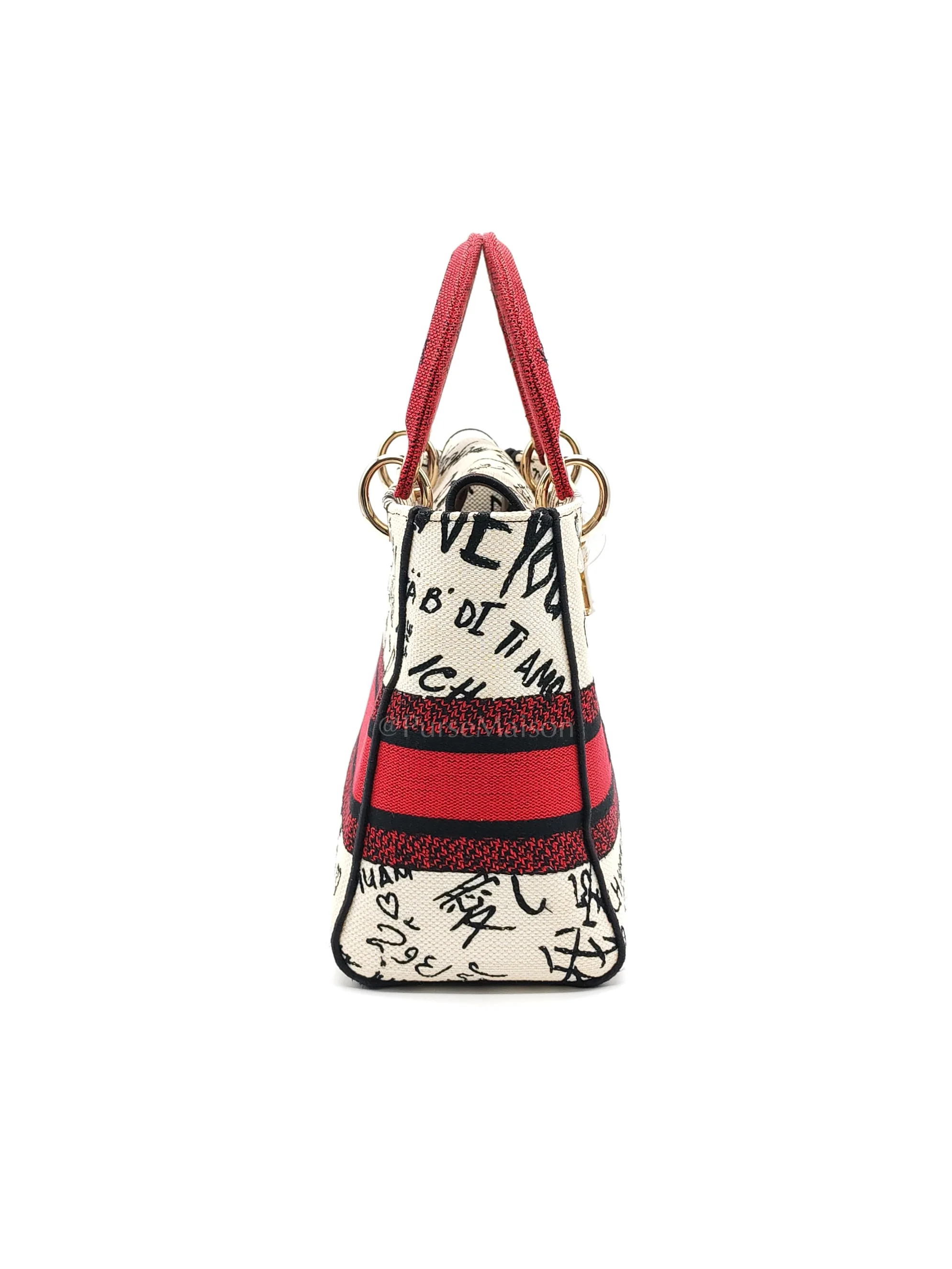 Christian Dior Lady D-Lite Medium in Latte Multicolor Dioramour Graffiti Embroidery & Light Gold Hardware - Image 6