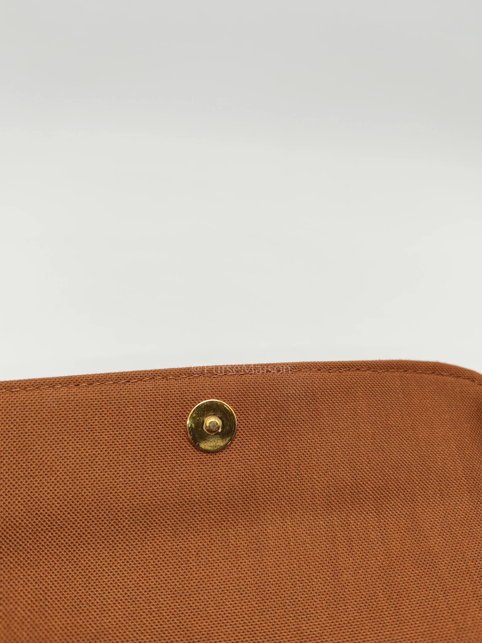 Louis Vuitton Ivy Wallet On Chain in Monogram Canvas Shoulder Bag (Microchip) - Image 18
