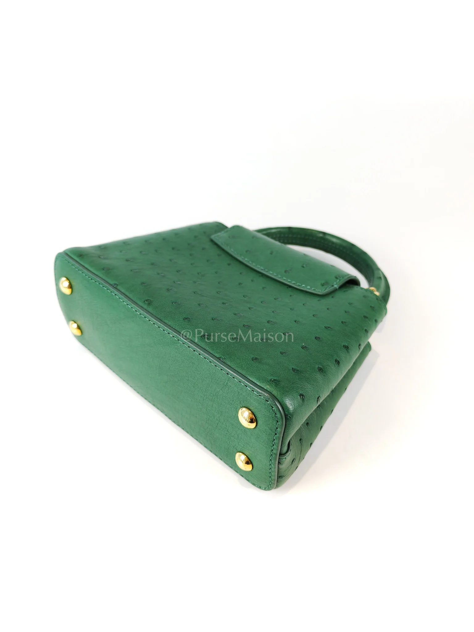 Louis Vuitton Mini Capuccines in Green Ostrich & Goat Leather Lining (Microchip) - Image 10