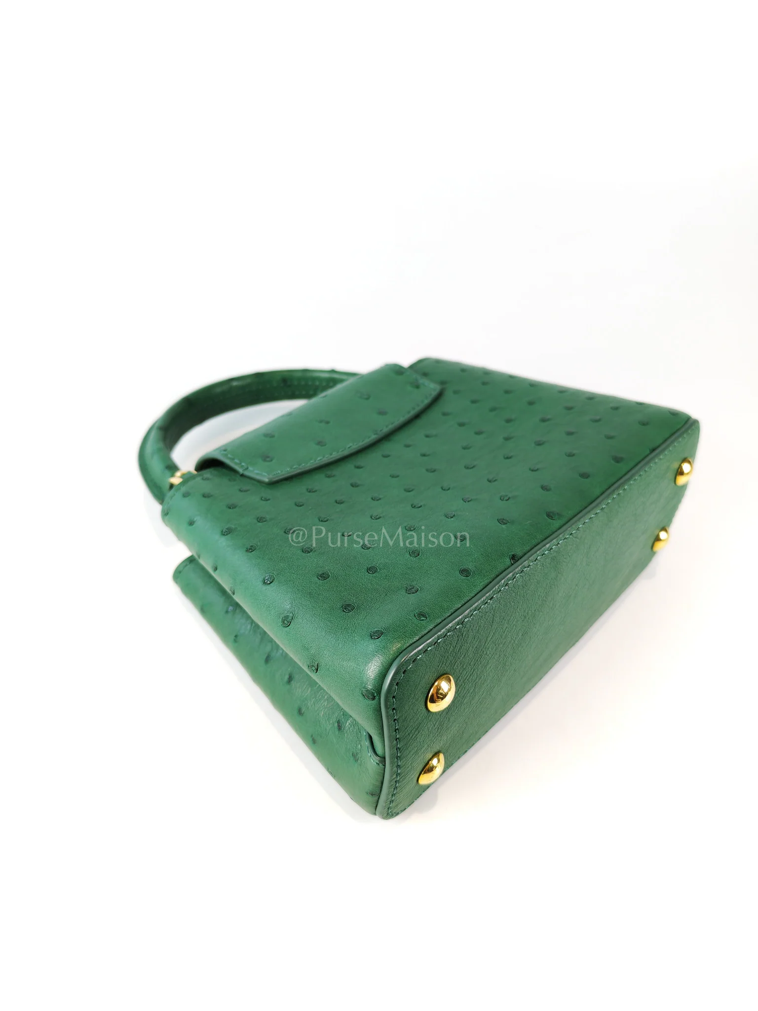 Louis Vuitton Mini Capuccines in Green Ostrich & Goat Leather Lining (Microchip) - Image 11