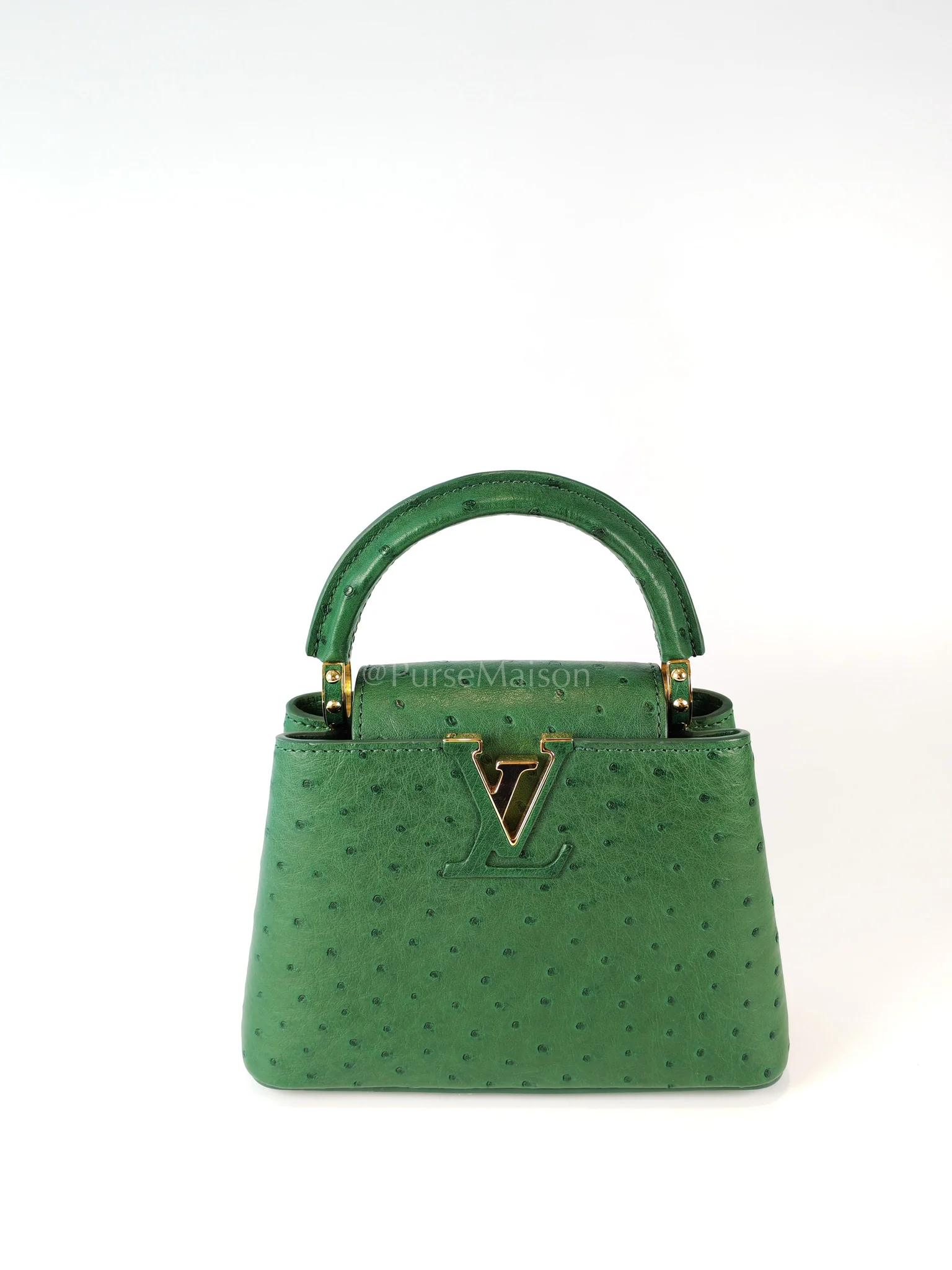 Louis Vuitton Mini Capuccines in Green Ostrich & Goat Leather Lining (Microchip) - Image 12