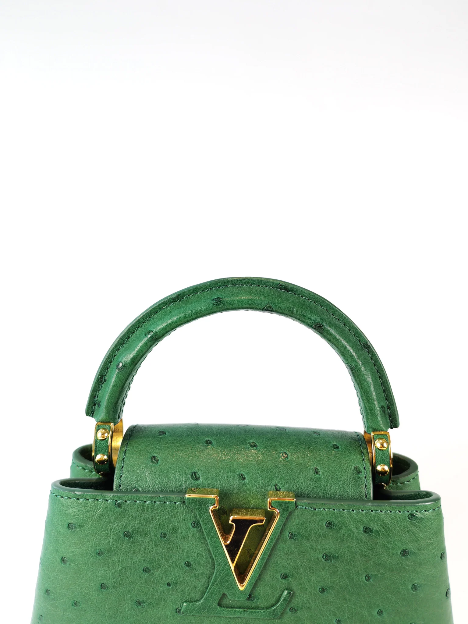 Louis Vuitton Mini Capuccines in Green Ostrich & Goat Leather Lining (Microchip) - Image 13
