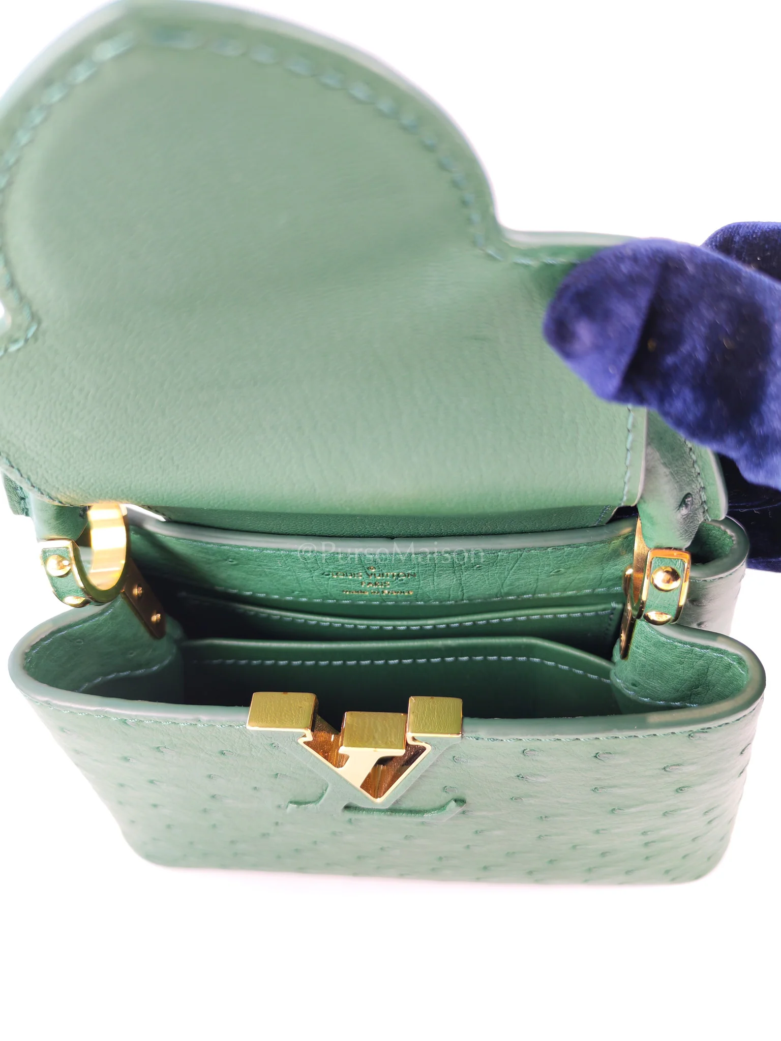 Louis Vuitton Mini Capuccines in Green Ostrich & Goat Leather Lining (Microchip) - Image 14