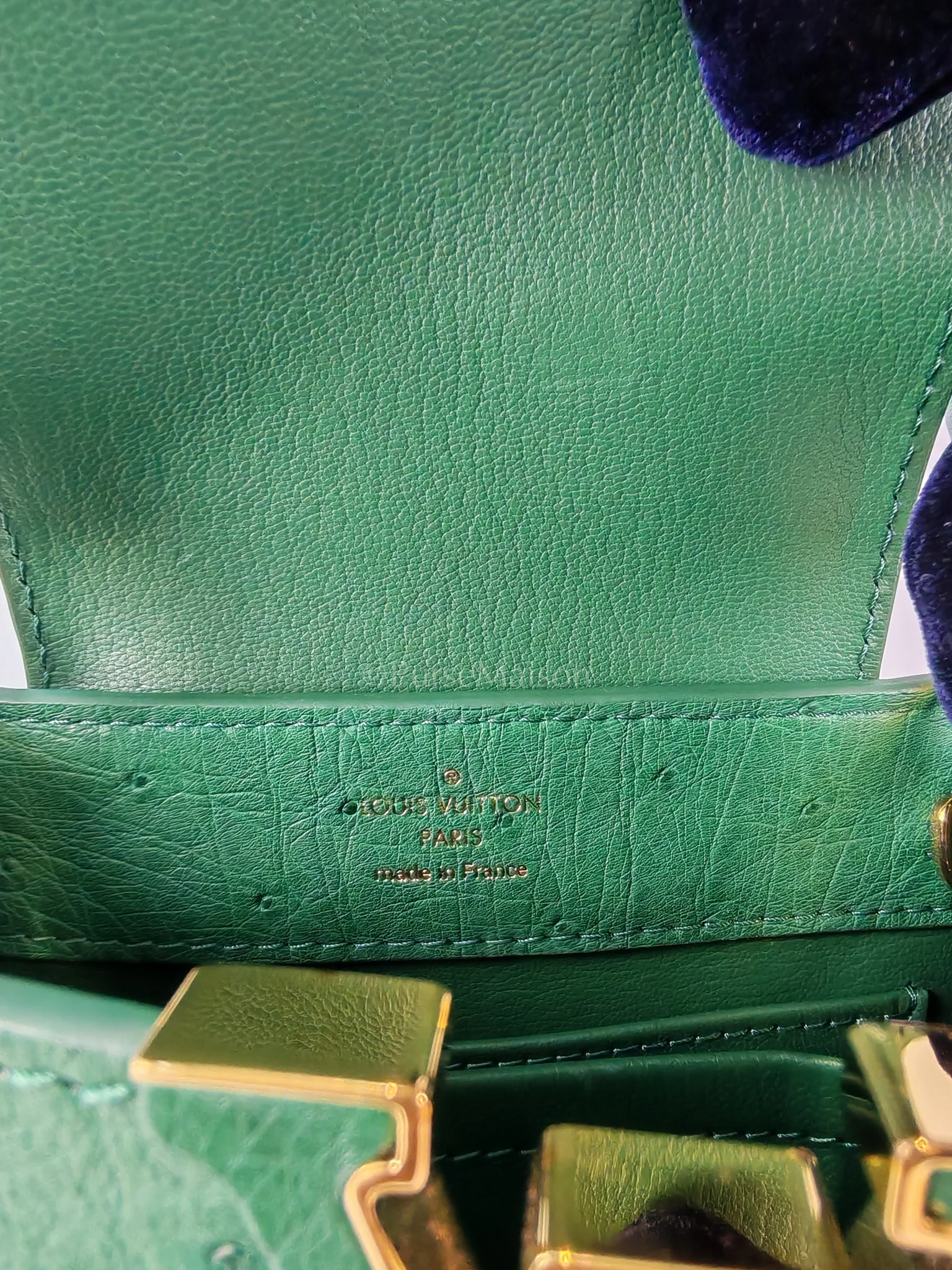 Louis Vuitton Mini Capuccines in Green Ostrich & Goat Leather Lining (Microchip) - Image 16