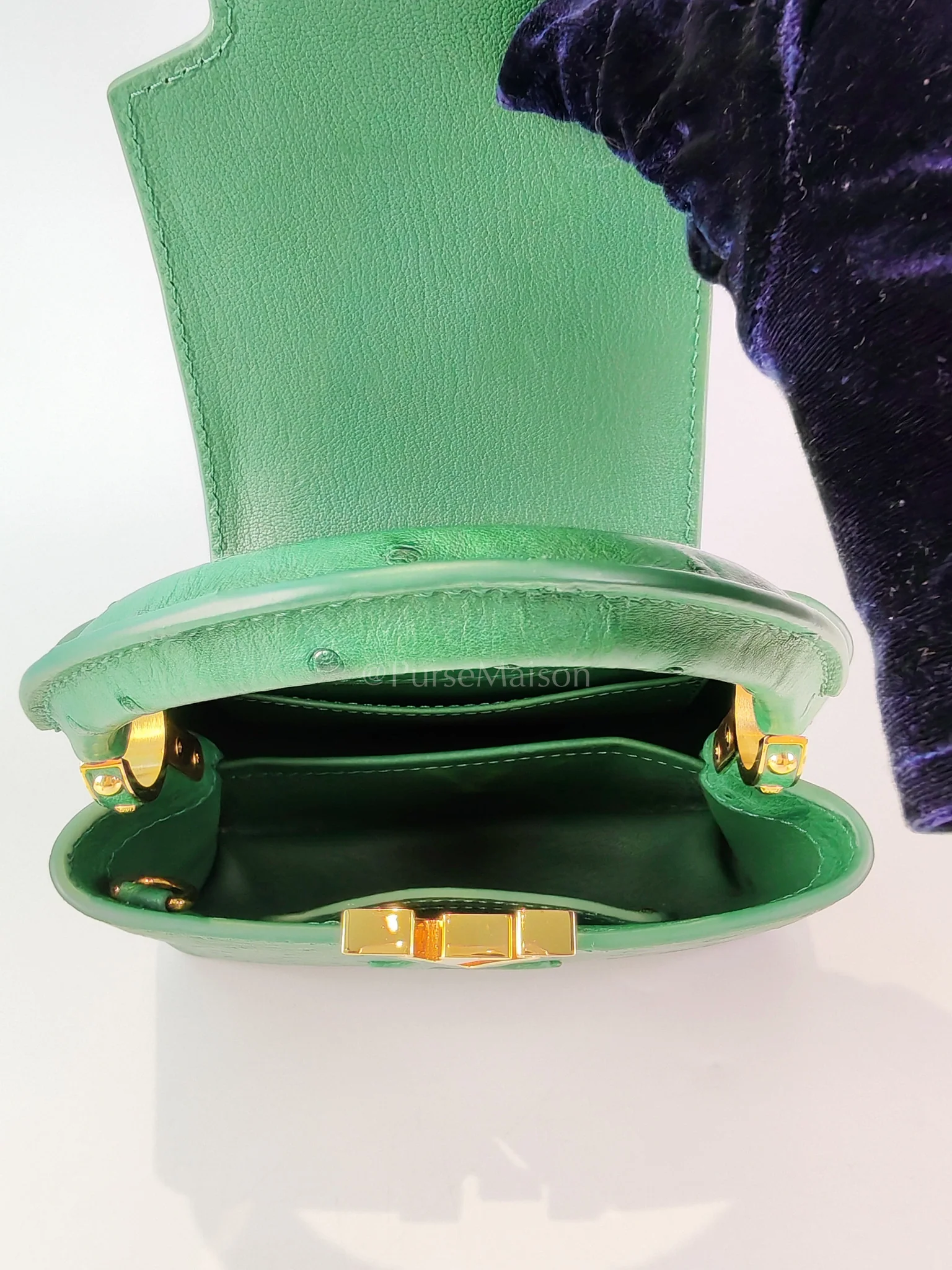 Louis Vuitton Mini Capuccines in Green Ostrich & Goat Leather Lining (Microchip) - Image 17