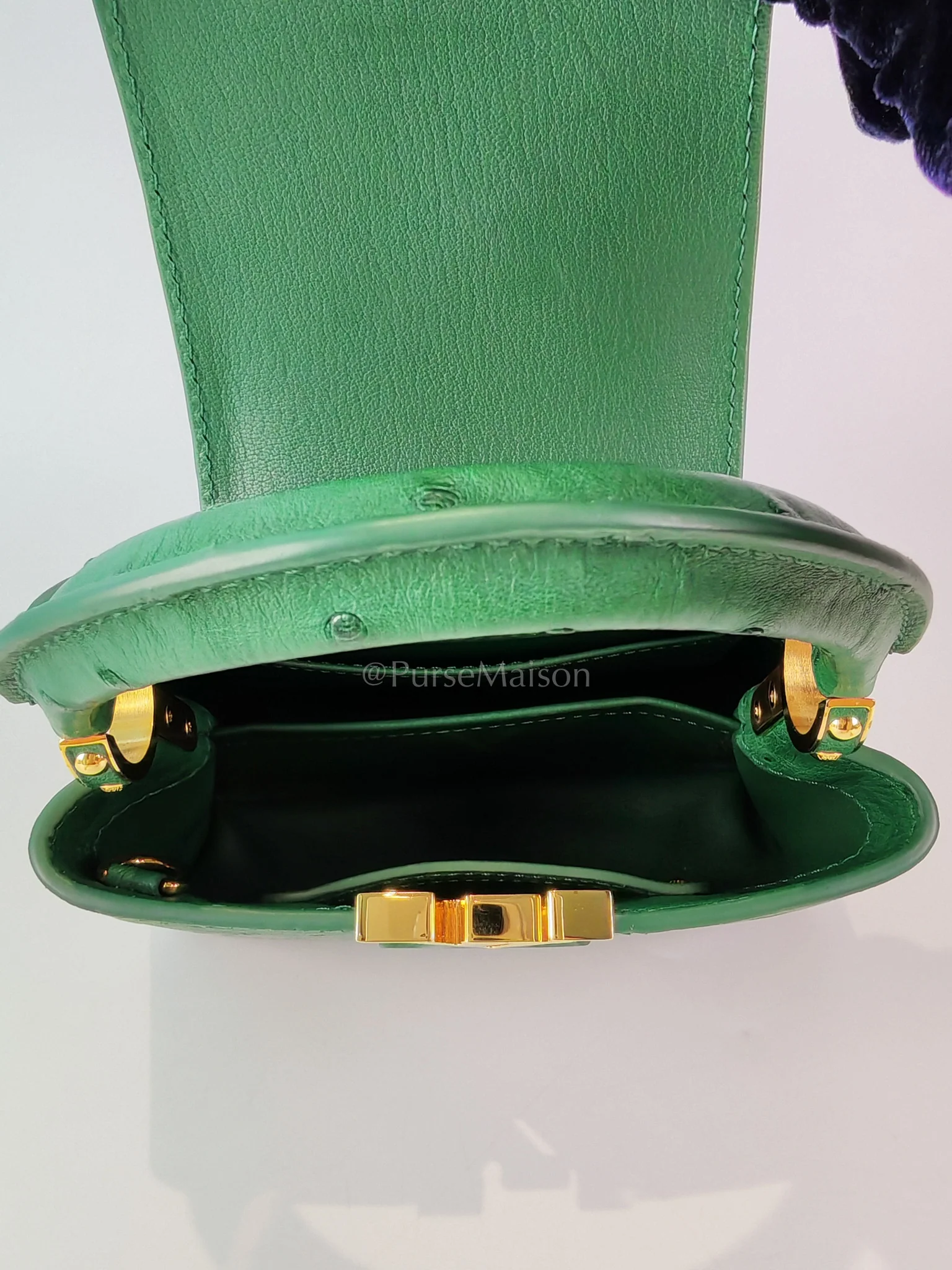 Louis Vuitton Mini Capuccines in Green Ostrich & Goat Leather Lining (Microchip) - Image 18