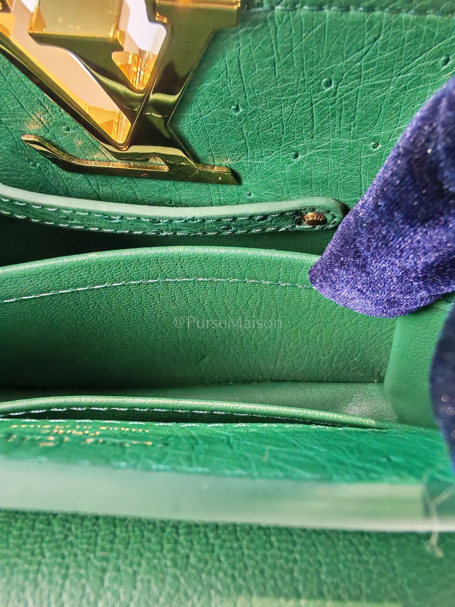 Louis Vuitton Mini Capuccines in Green Ostrich & Goat Leather Lining (Microchip) - Image 19