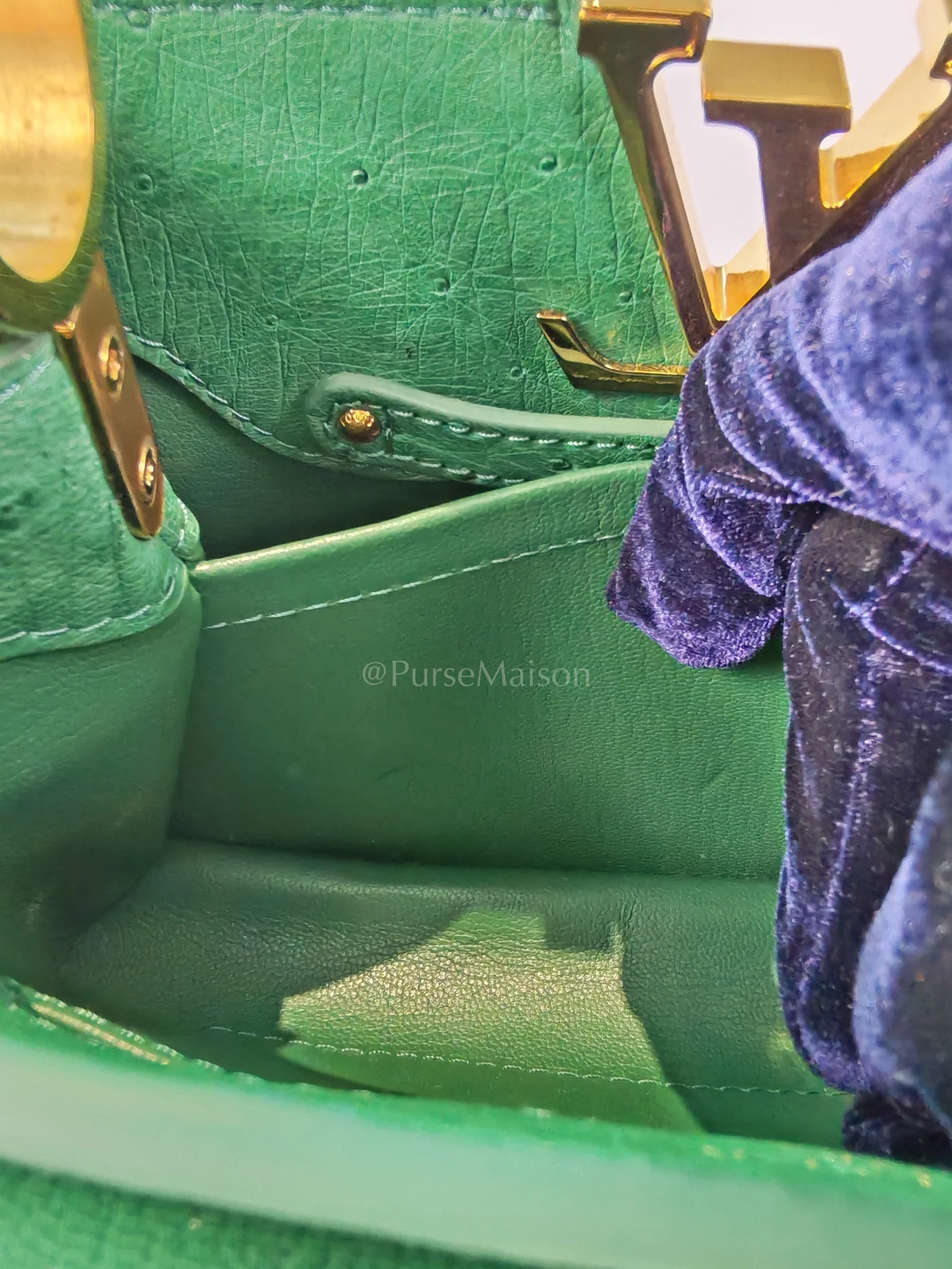 Louis Vuitton Mini Capuccines in Green Ostrich & Goat Leather Lining (Microchip) - Image 20