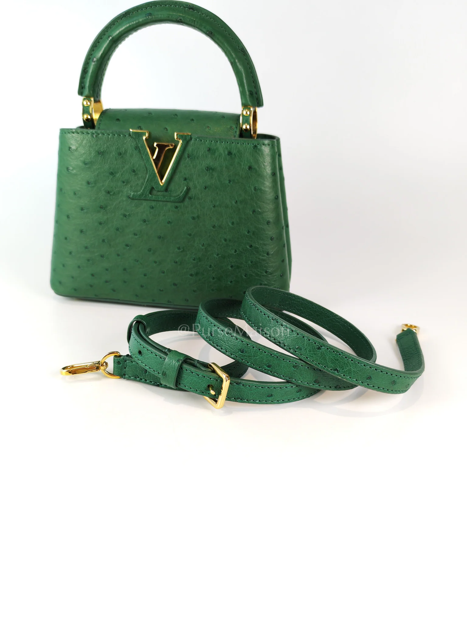 Louis Vuitton Mini Capuccines in Green Ostrich & Goat Leather Lining (Microchip) - Image 25