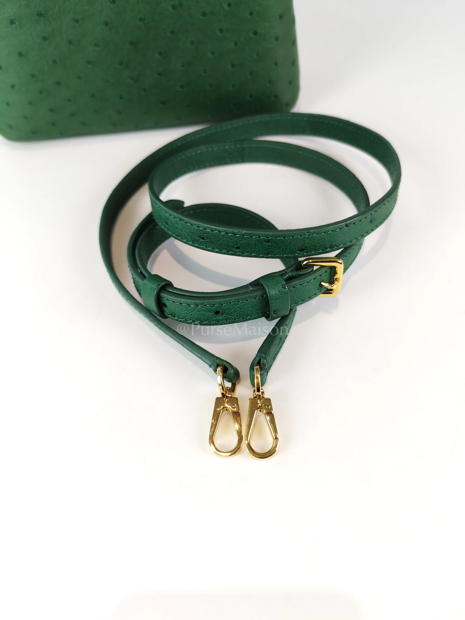 Louis Vuitton Mini Capuccines in Green Ostrich & Goat Leather Lining (Microchip) - Image 26