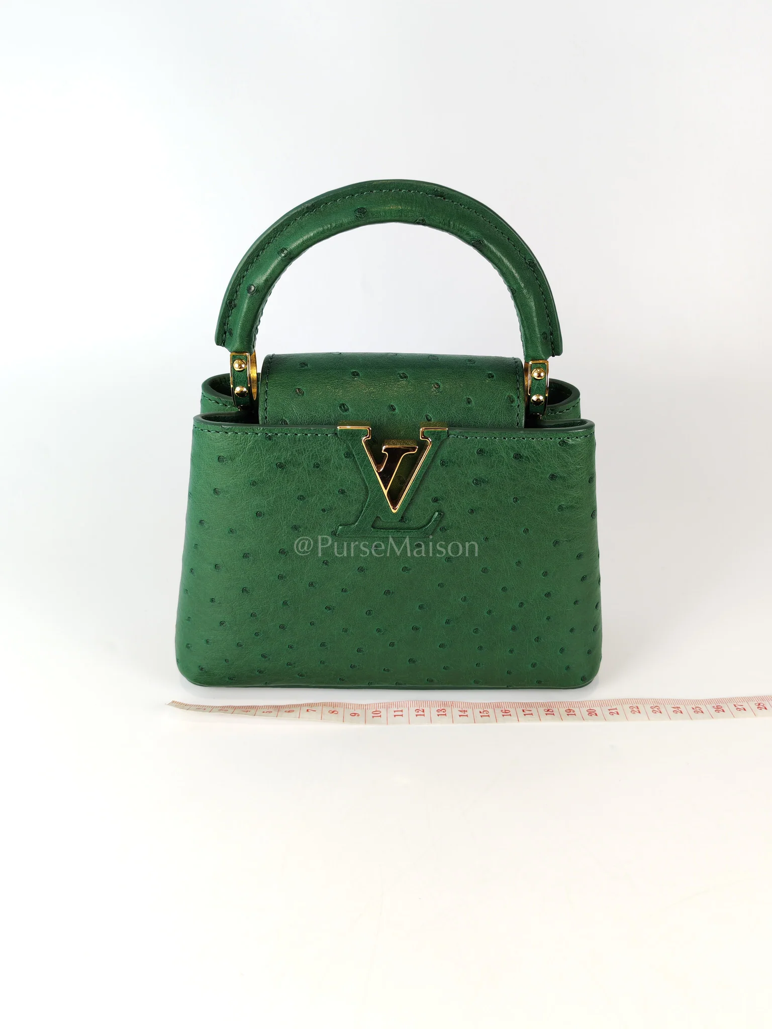 Louis Vuitton Mini Capuccines in Green Ostrich & Goat Leather Lining (Microchip) - Image 27