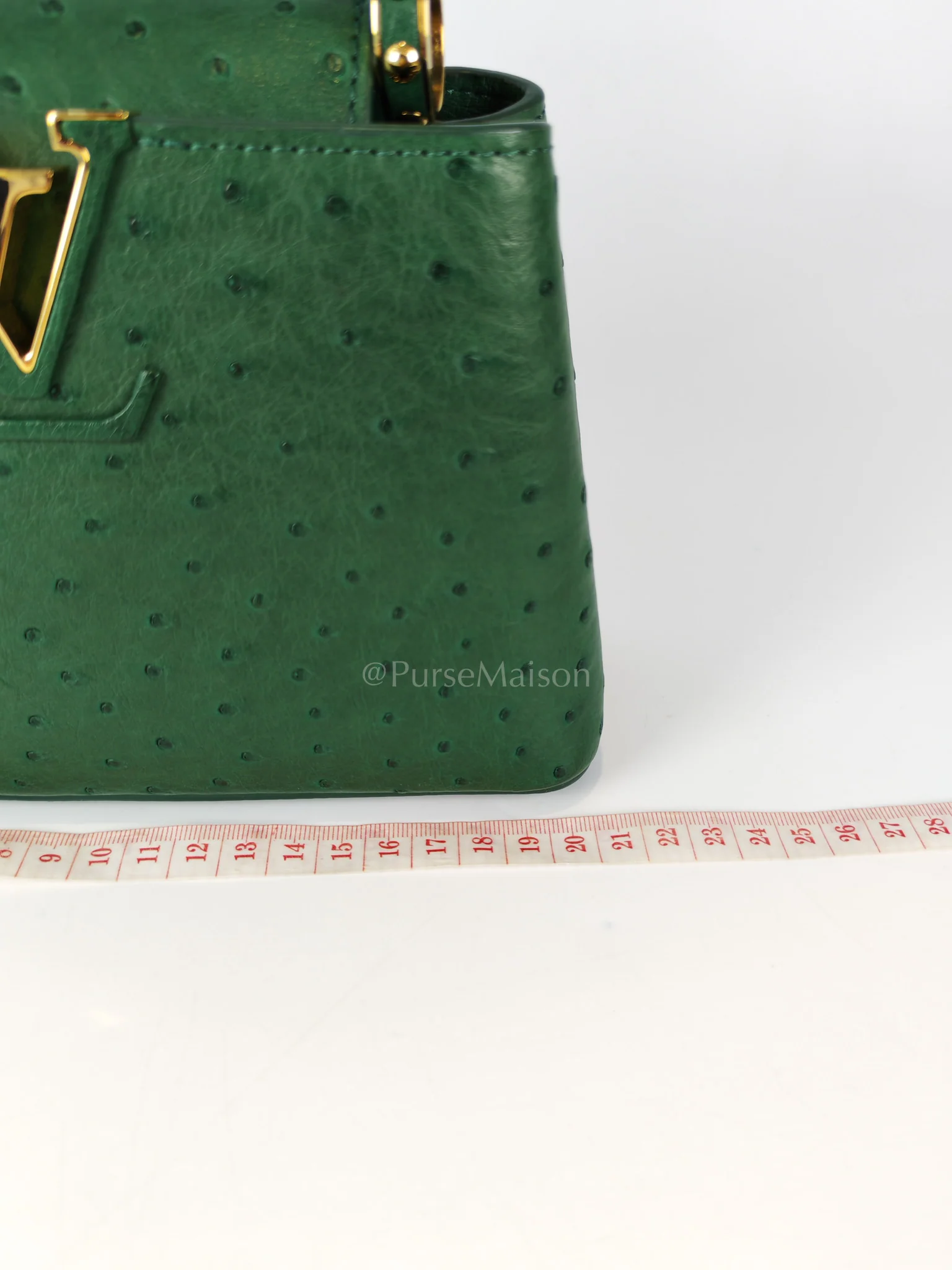 Louis Vuitton Mini Capuccines in Green Ostrich & Goat Leather Lining (Microchip) - Image 28
